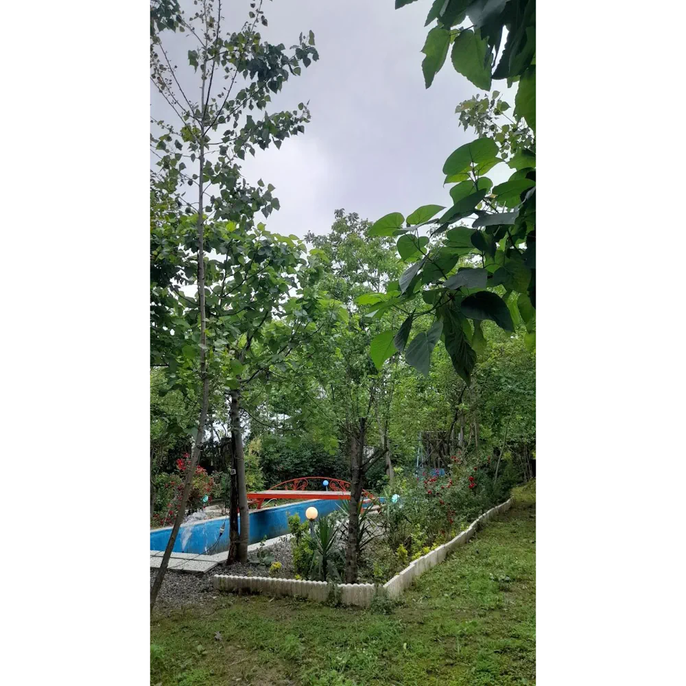 اجاره سوئیت دوخوابه باغ رضوان ماسوله