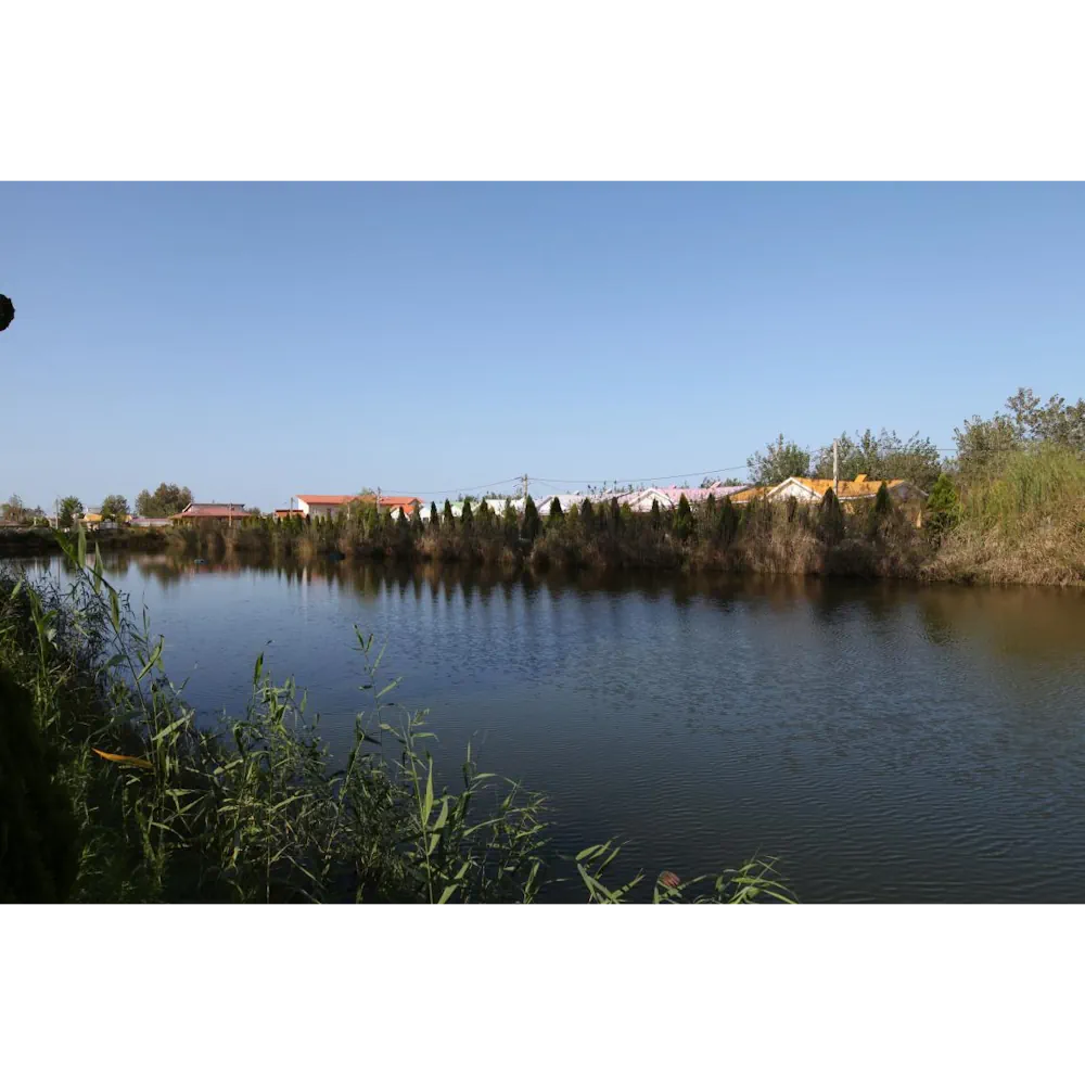 اجاره کلبه دوخوابه جنگلی مرادی 1