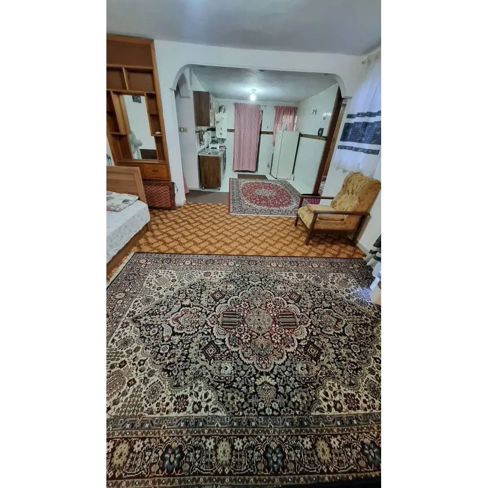 اجاره آپارتمان یک خوابه ساعی 1 ماسوله