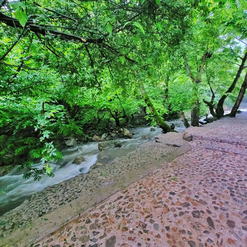 اجاره ویلا ۱۰ خوابه استخردار آبگرم آوا ماسال