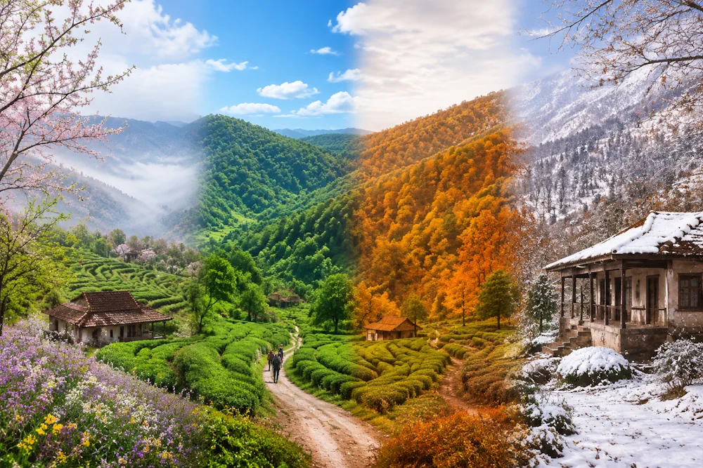 بهترین زمان سفر به املش چه فصلی است؟